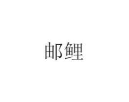 商标原图