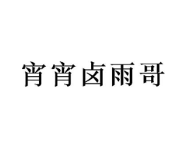宵宵卤雨哥商标原图 第35类广告贸易