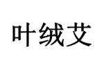 叶绒艾