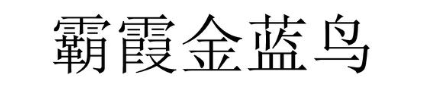 霸霞金蓝鸟