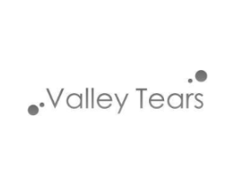 VALLEY TEARS商标原图 第35类广告贸易