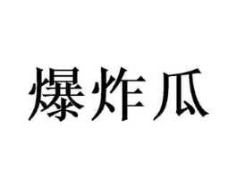 爆炸瓜商标原图 第35类广告贸易