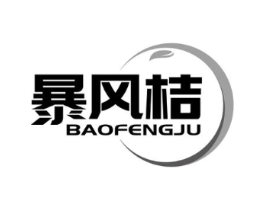 暴风桔商标原图 第35类广告贸易
