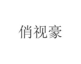 俏视豪商标原图 第35类广告贸易