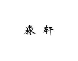 淼轩商标原图 第35类广告贸易