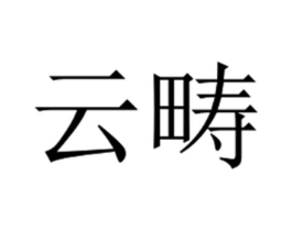 商标原图