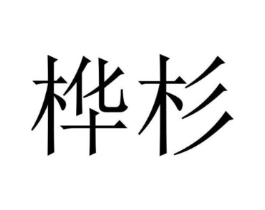 商标原图