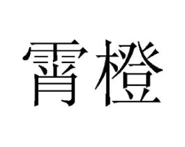 商标原图
