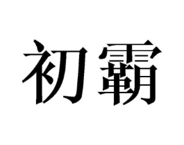 商标原图