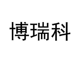 博瑞科商标原图 第42类技术服务