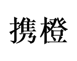 商标原图