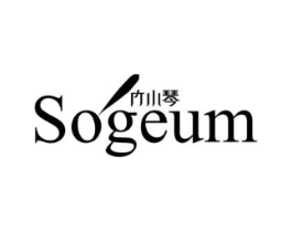 竹小琴  SOGEUM商标原图 第05类医药