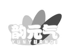 韵元气商标原图 第05类医药