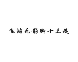 飞鸿无影脚十三姨商标原图 第05类医药