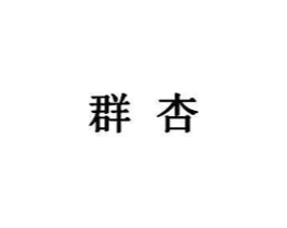 群杏商标原图 第05类医药