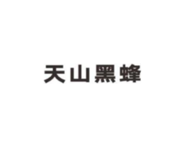 天山黑蜂商标原图 第05类医药