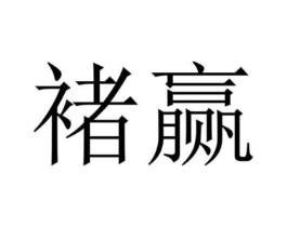 褚赢商标原图 第05类医药