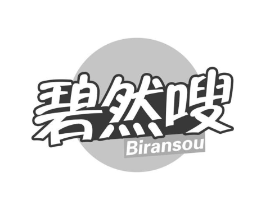 碧然嗖商标原图 第05类医药