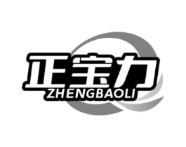 正宝力商标原图 第05类医药
