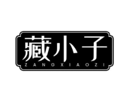 藏小子商标原图 第05类医药