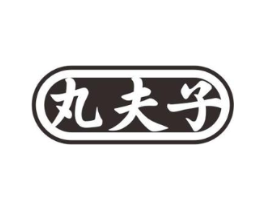 丸夫子商标原图 第05类医药