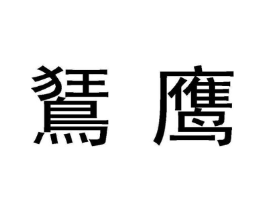 鵟鹰商标原图 第05类医药