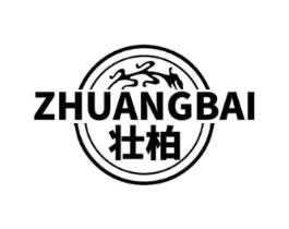 壮柏商标原图 第05类医药