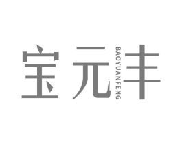 宝元丰商标原图 第05类医药