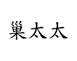 巢太太商标原图 第05类医药