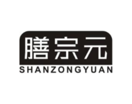 膳宗元商标原图 第05类医药