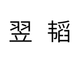 翌韬商标原图 第05类医药