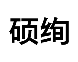 硕绚商标原图 第05类医药