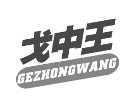 戈中王商标原图 第05类医药