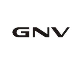 GNV商标原图 第05类医药