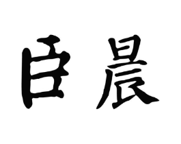 臣晨商标原图 第05类医药