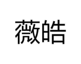 薇皓商标原图 第05类医药