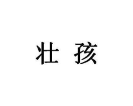 壮孩商标原图 第05类医药
