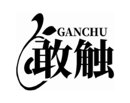 敢触商标原图 第05类医药