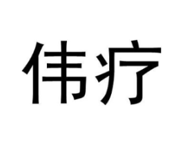 伟疗商标原图 第05类医药