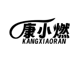 康小燃商标原图 第05类医药