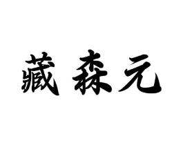藏森元商标原图 第05类医药