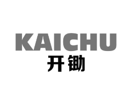 开锄商标原图 第05类医药