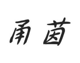 甬茵商标原图 第05类医药