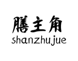 膳主角商标原图 第05类医药