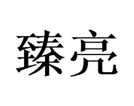 臻亮商标原图 第05类医药