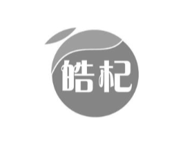 皓杞商标原图 第05类医药