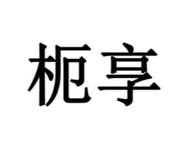 枙享商标原图 第05类医药