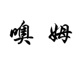 噢姆商标原图 第05类医药