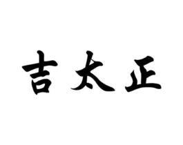 吉太正商标原图 第05类医药