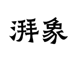 湃象商标原图 第05类医药